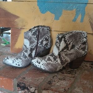 Cupid Black and White Snakeskin Ankle Booties